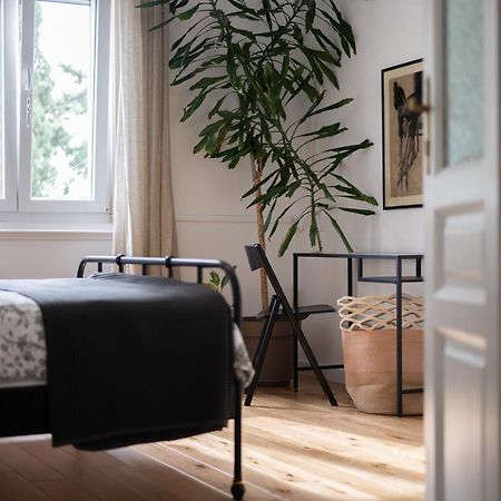 Val Maistro Apartment ザダル エクステリア 写真
